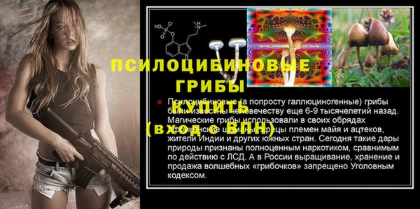 тгк Алексин