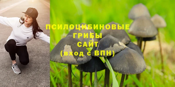 стафф Алексеевка